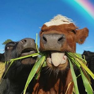 RESERVED LISTING DO NOT BUY